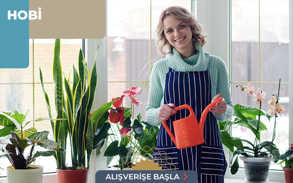 Hobi Ürünleri